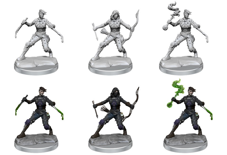DND Frameworks Human Rogue Female