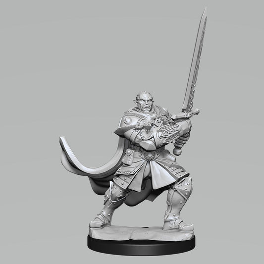 DND Unpainted Minis WV15 Half-Orc Paladin Male